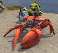 Image of Trained Crab