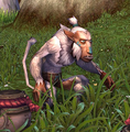 A hozen in World of Warcraft.