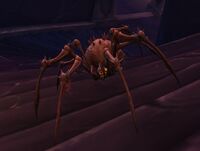 Image of Rook Spiderling