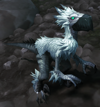 Image of Young Snowfeather