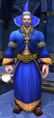Human Conjurer in World of Warcraft.