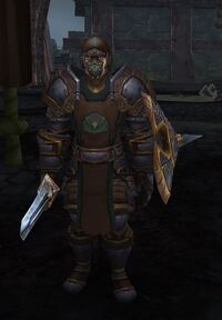 Image of Baradin Guard