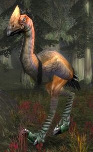 Image of Giant Foreststrider