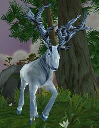 Image of Shrine Elk