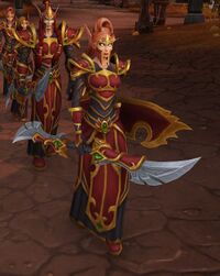 Image of Silvermoon Soldier