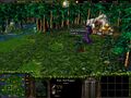 Warcraft III creep Dark Troll Trapper.jpg