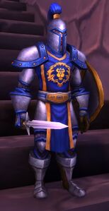 Image of Stormwind Soldier