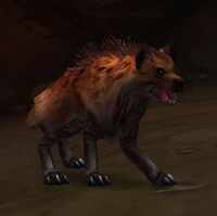 Image of Tamed Hyena