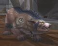 Broll shapeshifted in Stormwind.