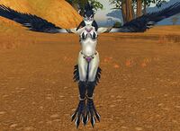 Image of Witchwing Roguefeather