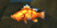 Image of Golden Stonefish