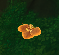 Image of Emberbloom Offshoot