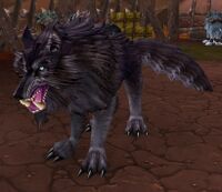 Image of Black Wolf