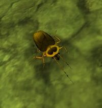 Image of Tainted Cockroach