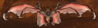 Image of Noxious Plaguebat