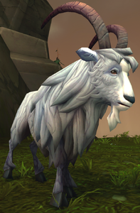 Image of Silvertail Mountain Goat