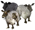 Old sheep model, updated in 7.0.