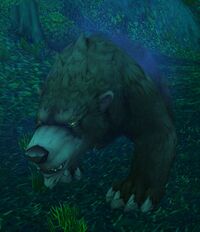 Image of Great Bear Spirit
