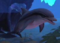 Druid of the Fin dolphin.jpg