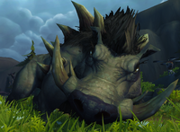 Image of Giant Boar