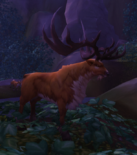 Image of Heartwood Stag