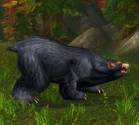 Image of Vicious Black Bear