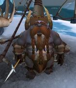 A male tuskarr in Wrath of the Lich King.