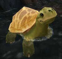 Image of Dalaran Sewer Turtle
