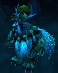 Image of Moonkin Oracle