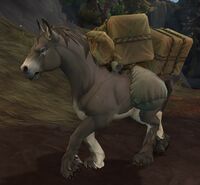Image of Courier Pack Mule