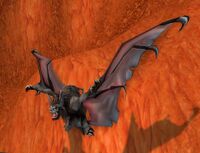 Image of Wounded Forsaken Bat