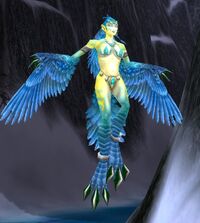 Image of Frostfeather Witch