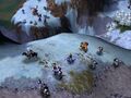 Warcraft III - Alpha screen 8.jpg