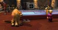 Dog in the Magical Menagerie of Dalaran.