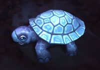 Image of Sandshell Turtle