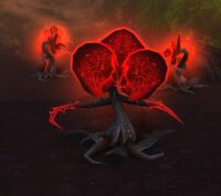 Image of Tainted Bloodpetal
