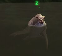 Image of Druid of the Fin