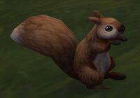 Image of Valley Squirrel