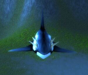 Coastal Defender Orca.jpg