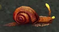 Image of Hermetic Seaslug