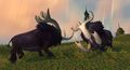 Two stags fighting.