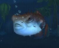 Image of Coldscale Puffer