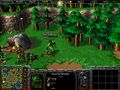 Warcraft III creep Forest Troll Berserker.jpg