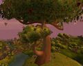 Only fruit tree in Outland