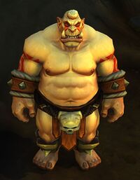 Image of Stonemaul Ogre