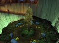 Vordrassil's sapling in the center of Grizzlemaw.