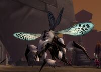 Image of Hive'Zara Wasp