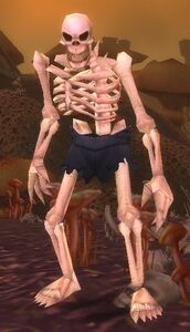 Image of Skeletal Servant