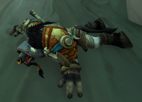 Image of Jeti Amberhoof