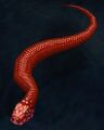 [Crimson Snake]